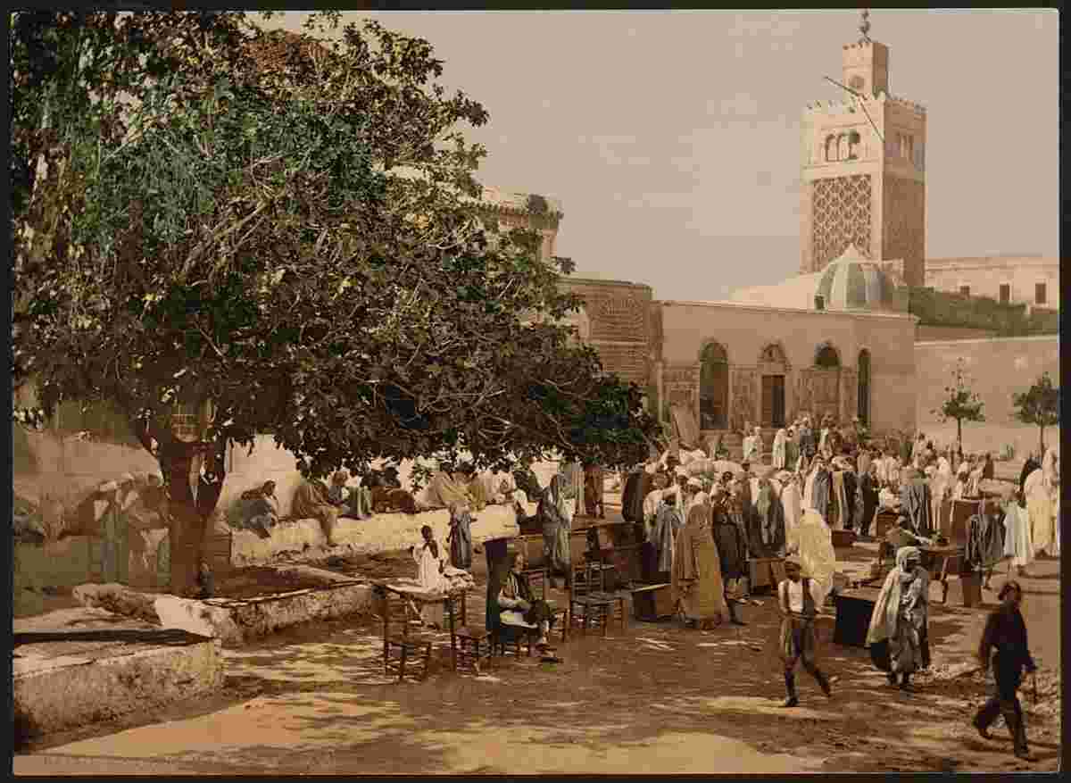 Tunis. Kasbah market