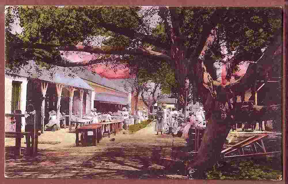 St. John's. The City Market