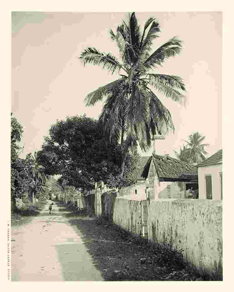 Nassau. Panorama of the city street, 1906