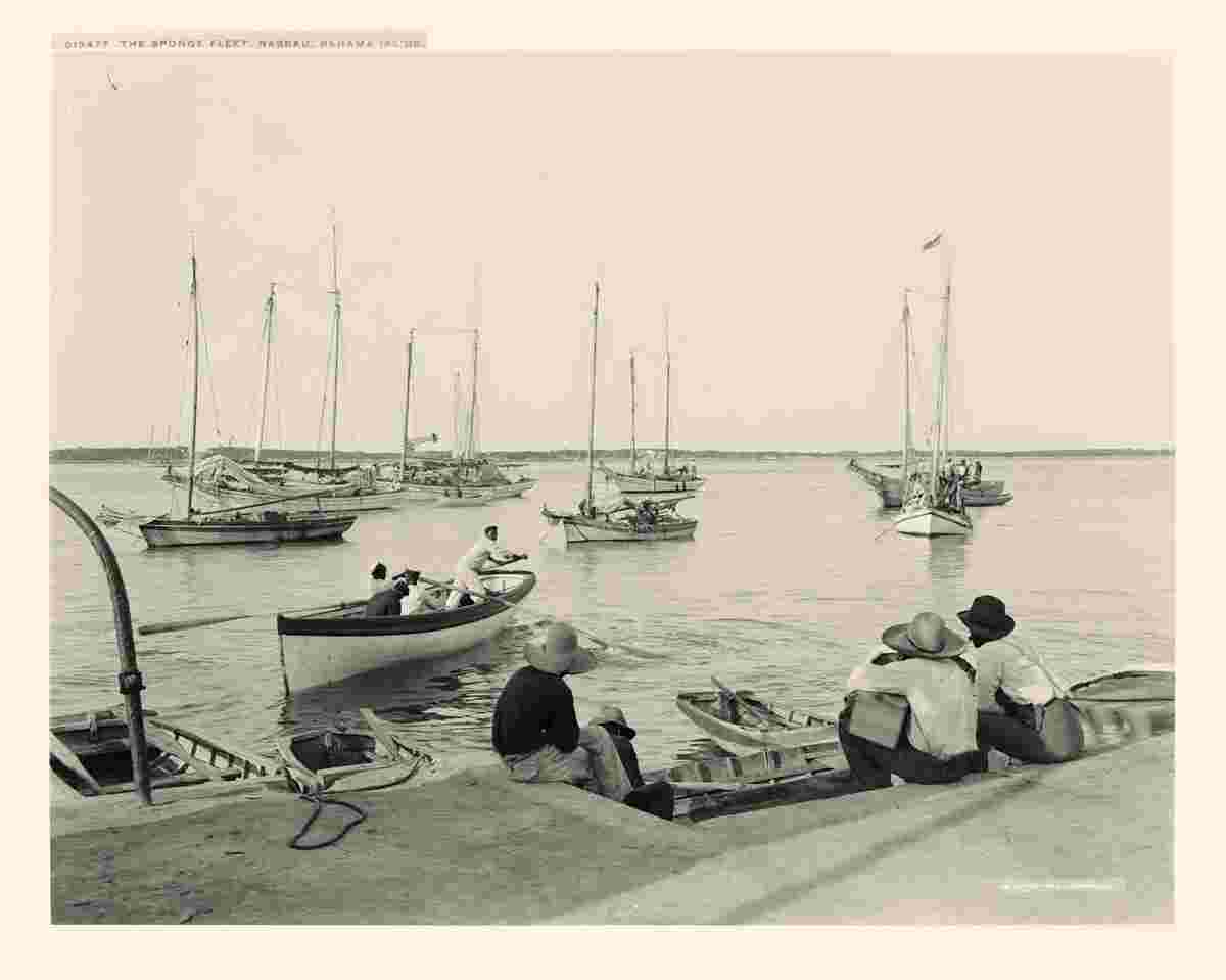 Nassau. Sponge fleet, between 1900 and 1906