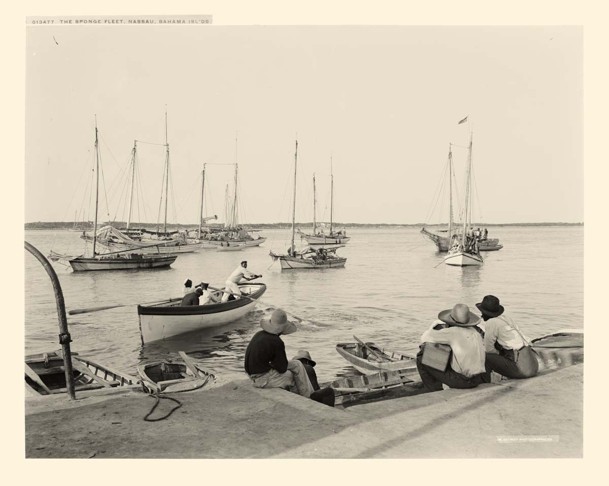 Nassau. Sponge fleet, between 1900 and 1906
