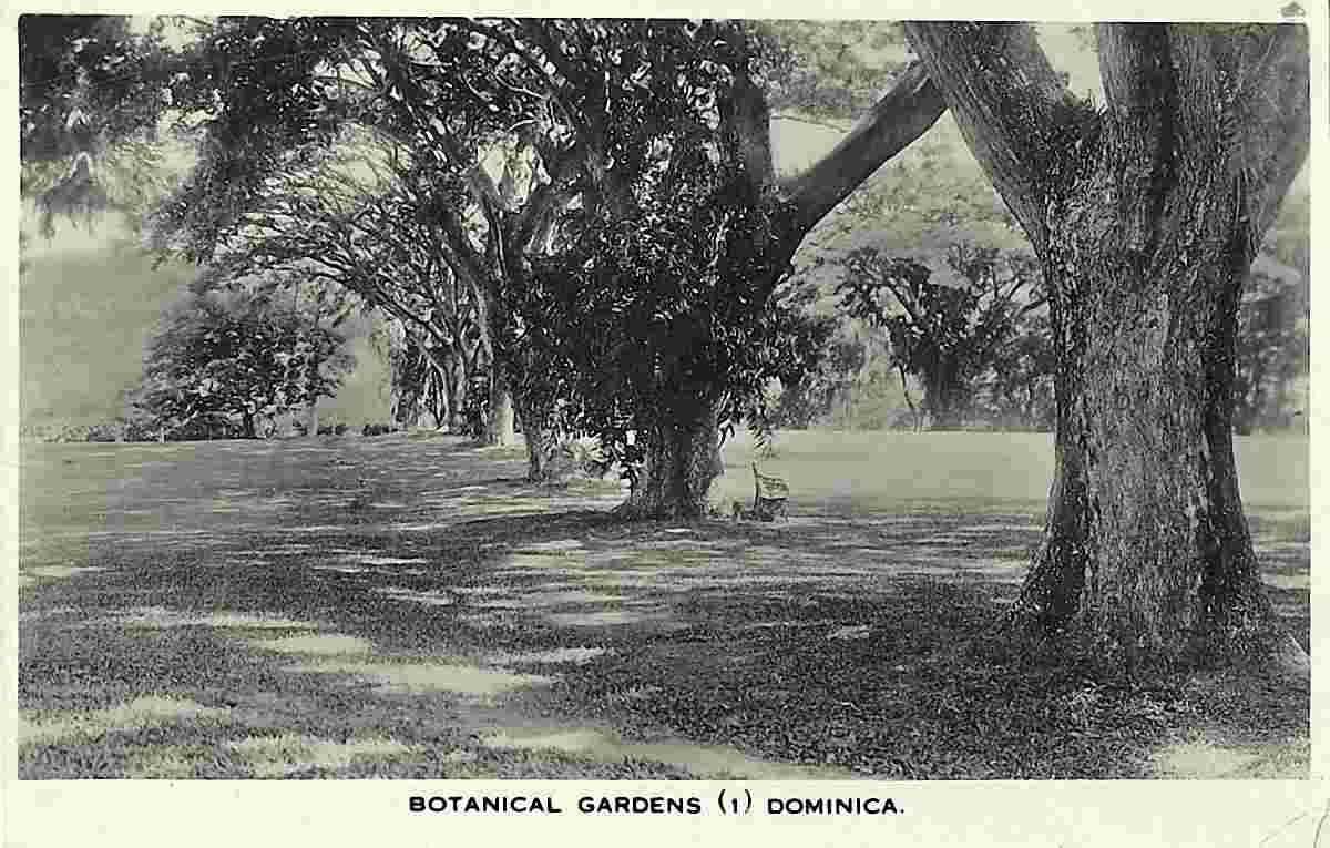 Roseau. Botanical Garden