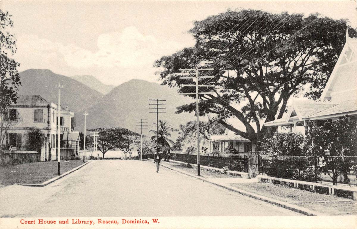 Roseau. Court House and Library