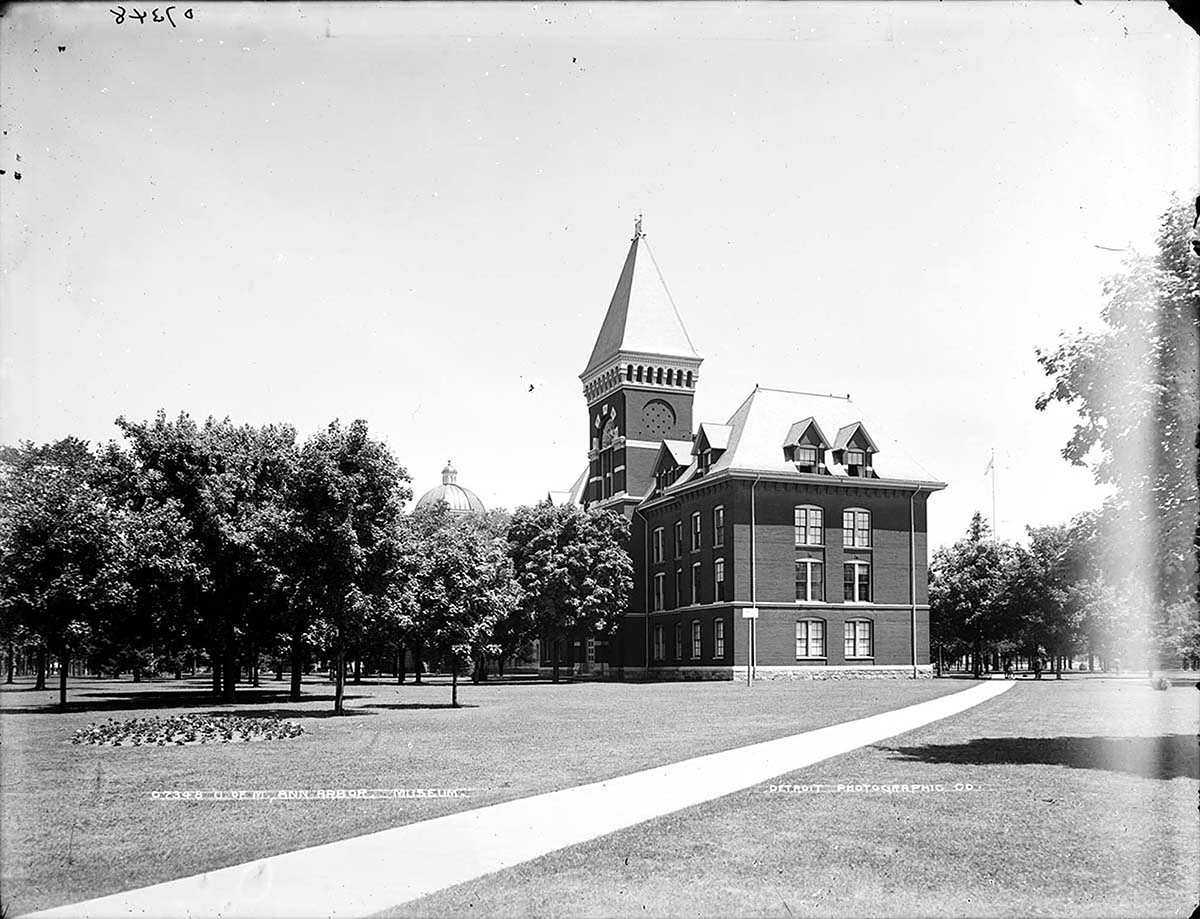Ann Arbor. University of Michigan, Museum, between 1880 and 1900
