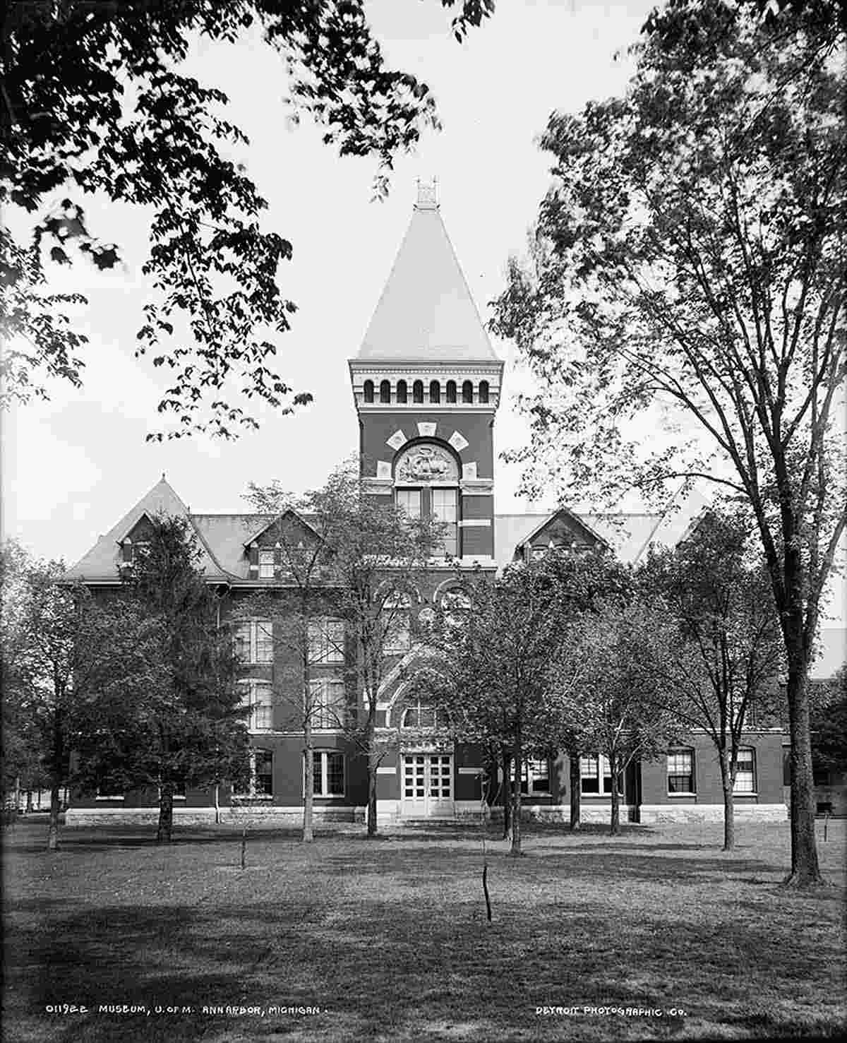 Ann Arbor. University of Michigan, Museum, between 1880 and 1901