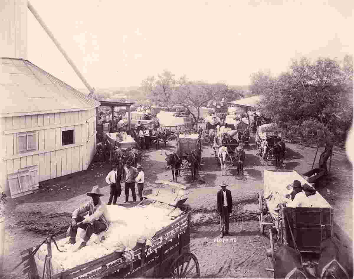 Austin. Cotton Gin, 1900