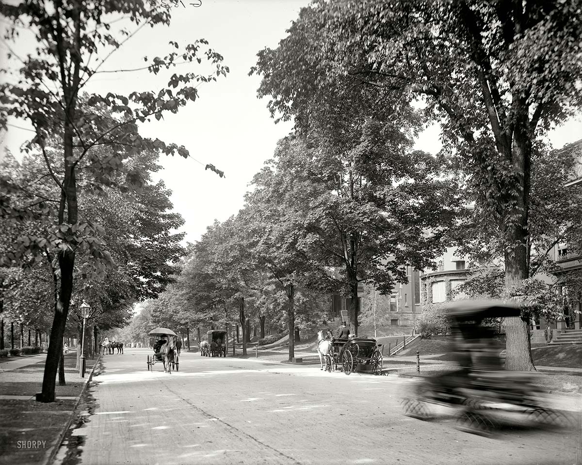 Buffalo. Delaware Avenue, circa 1904