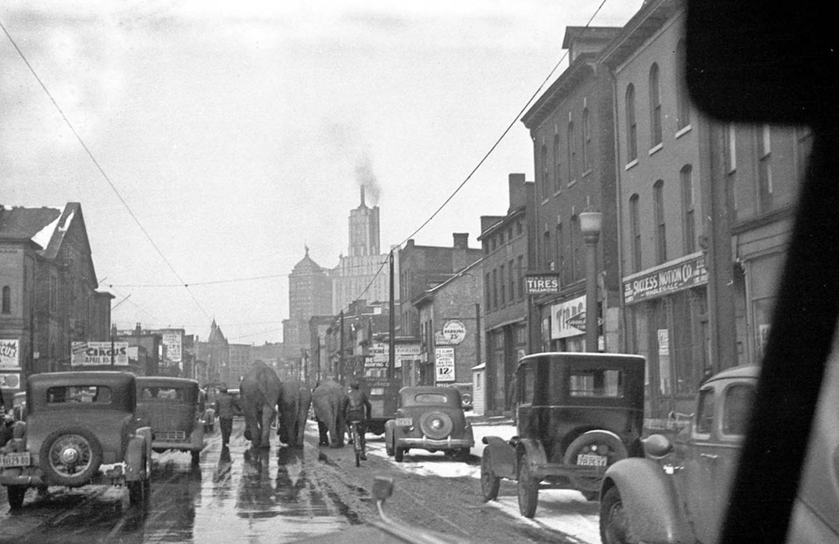 Buffalo. Elephants on city street, circa 1930s