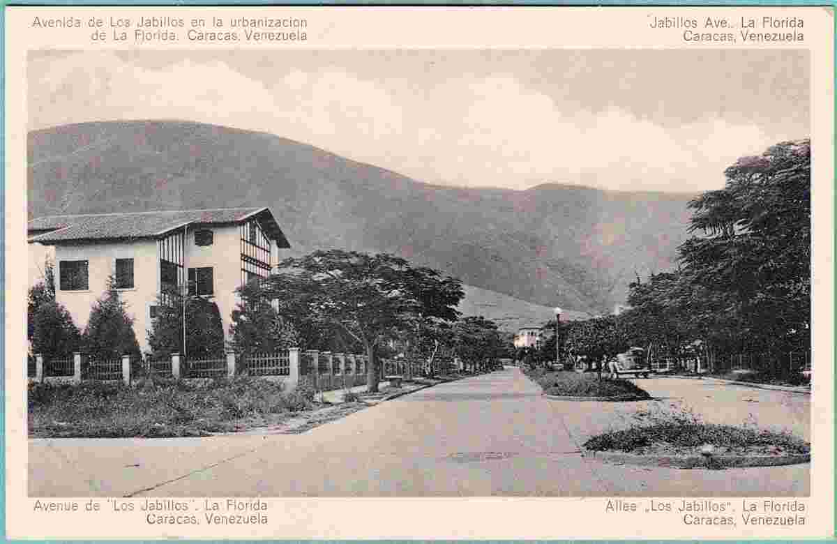 Caracas. La Florida - Avenida de Los Jabillos