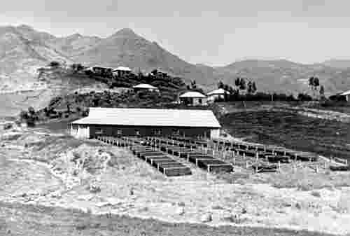 Yeghegnadzor. Tobacco drying, Yeghegnadzor region