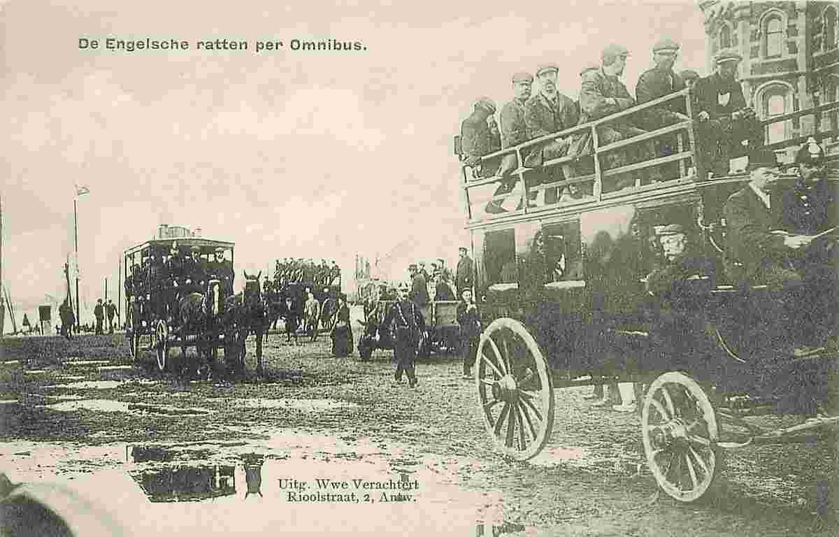 Antwerpen. De Engelsche ratten per Omnibus