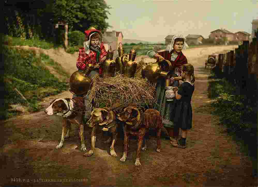 Brussels. Laitières, 1890