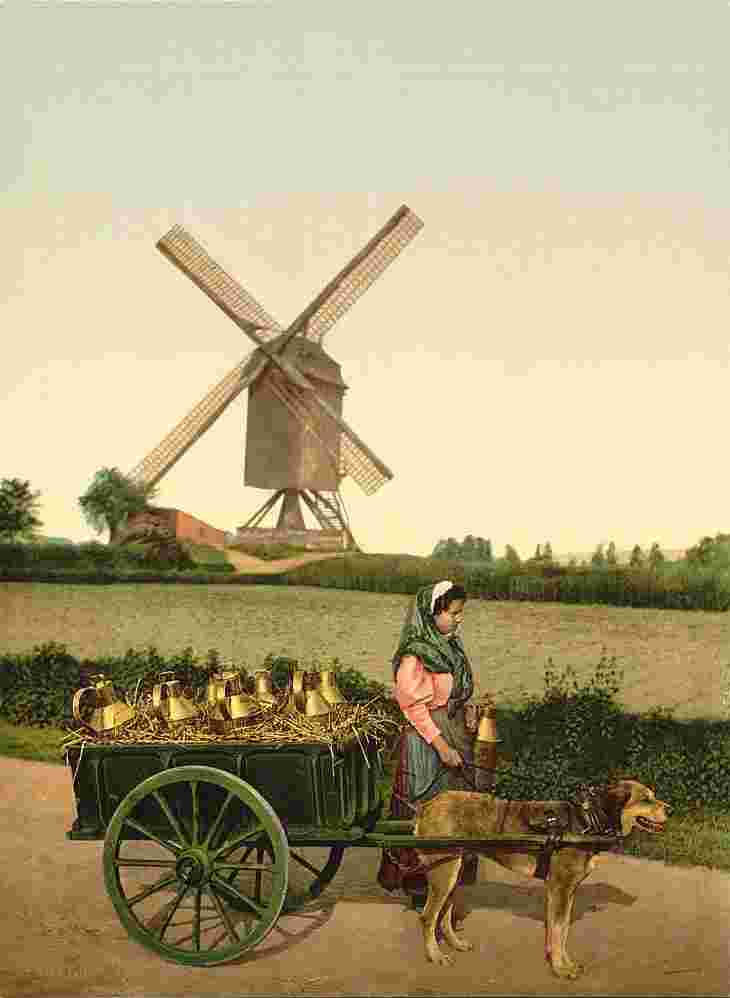 Brussels. Laitières, 1890