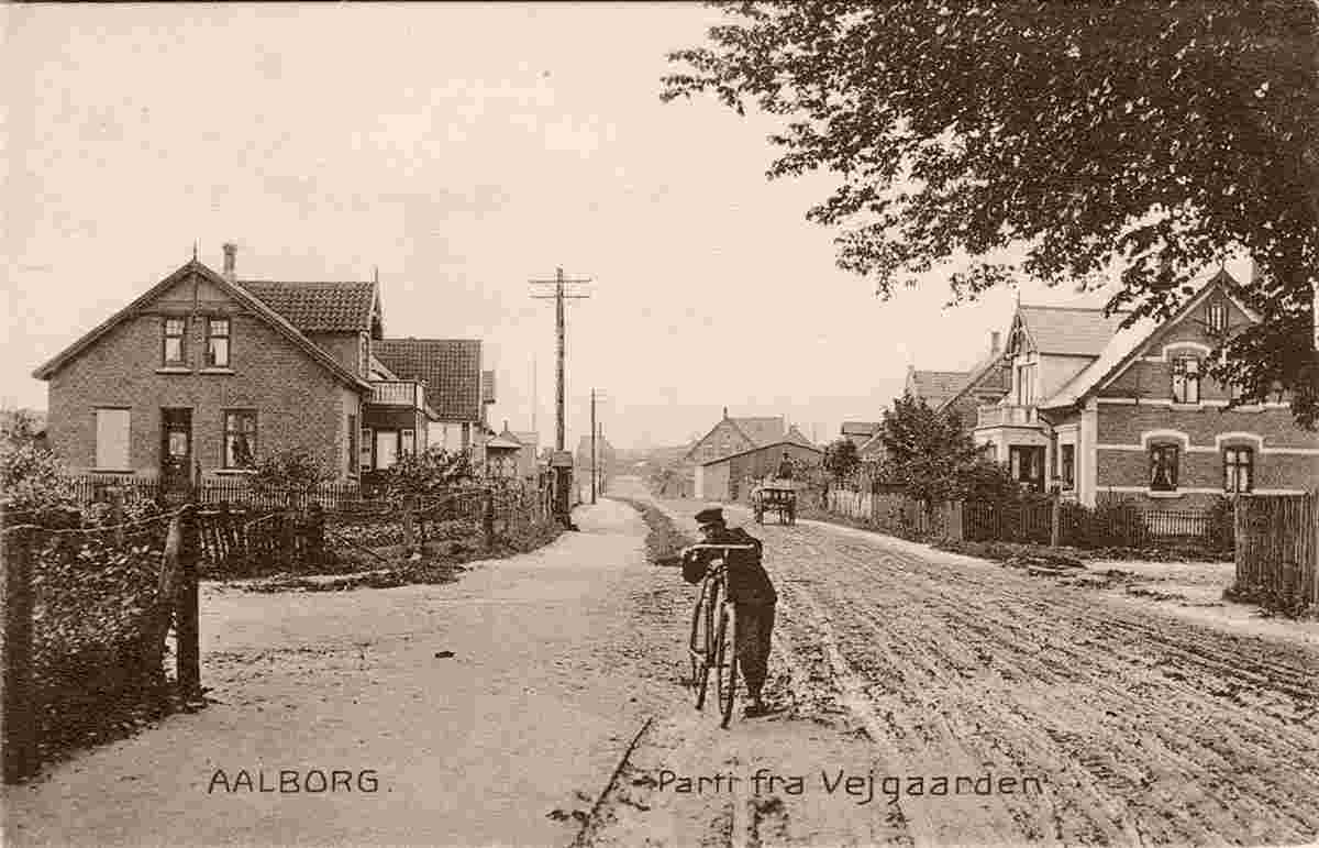 Aalborg. Vejgården - Village Road