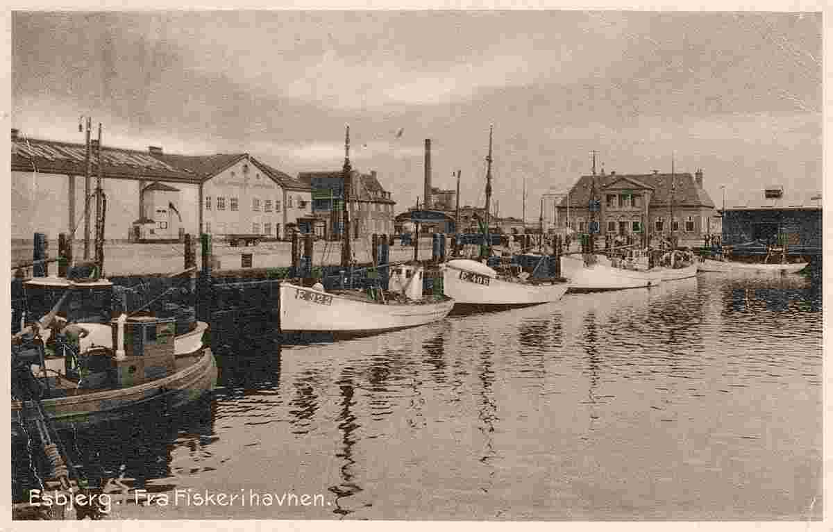 Esbjerg. Fishing harbour
