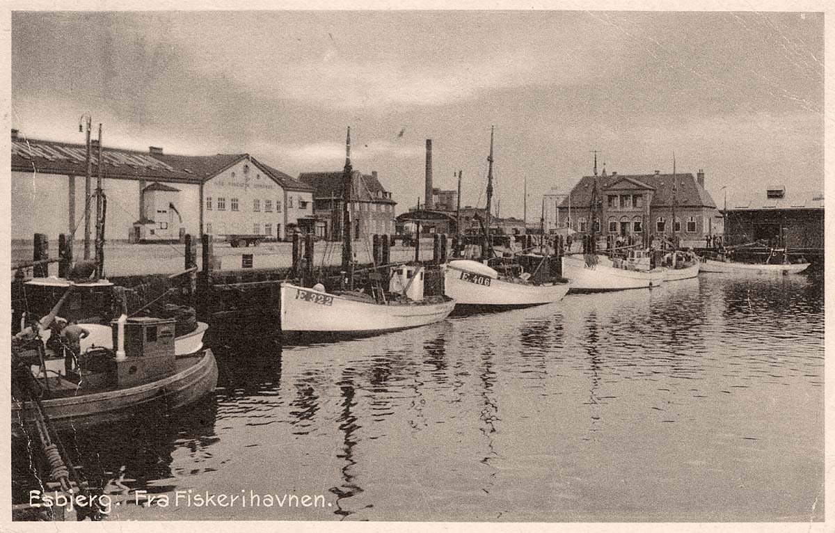 Esbjerg. Fishing harbour