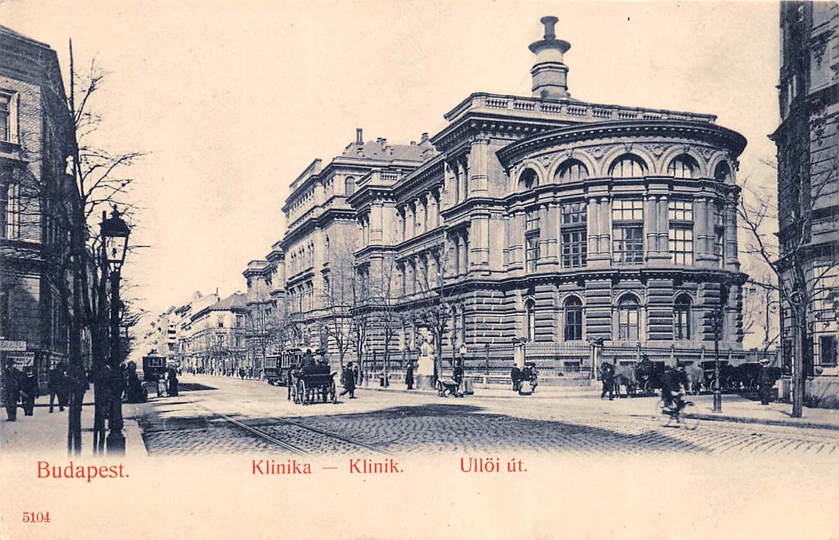 Budapest. Clinic on Üllői Avenue