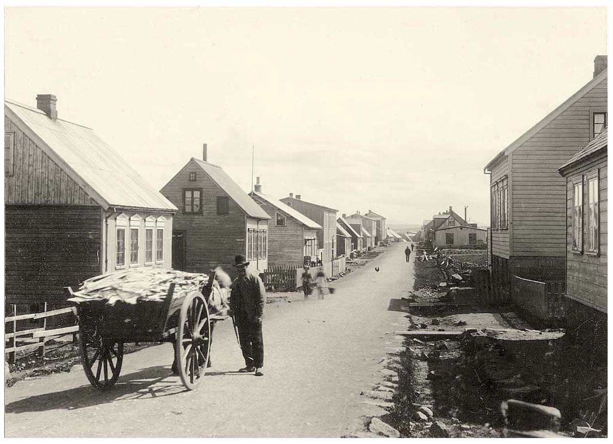 Reykjavík. Panorama of the city, circa 1900