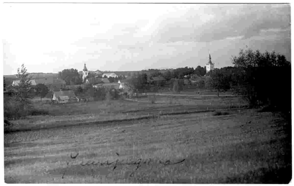 Jaunjelgava. Panorama of the city