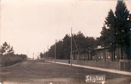 Alytus. View to street