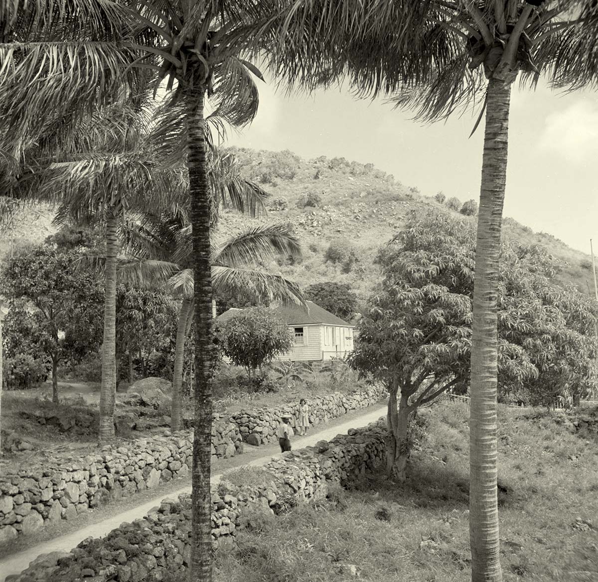 The Bottom. View to street, 1947