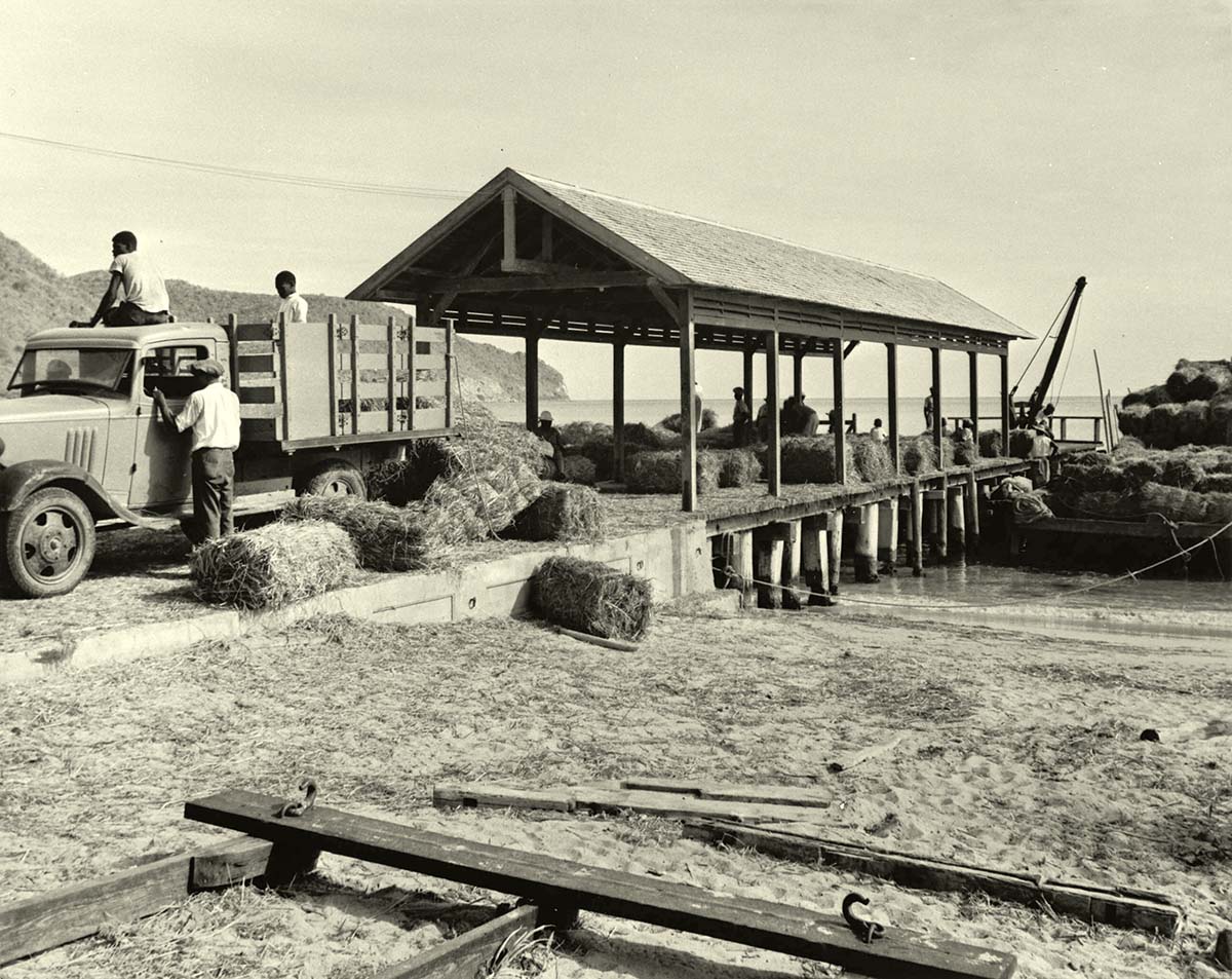 Philipsburg. Collecting hay bales