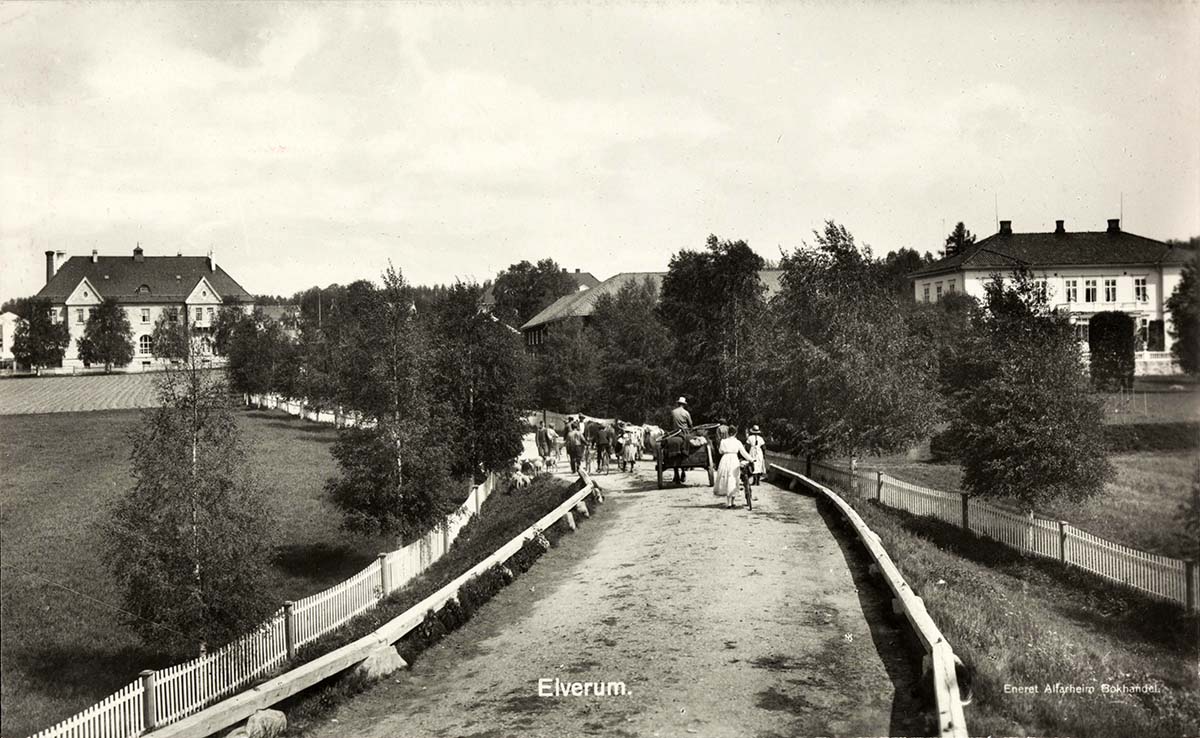 Elverum. Panorama of city road, between 1920 and 1930