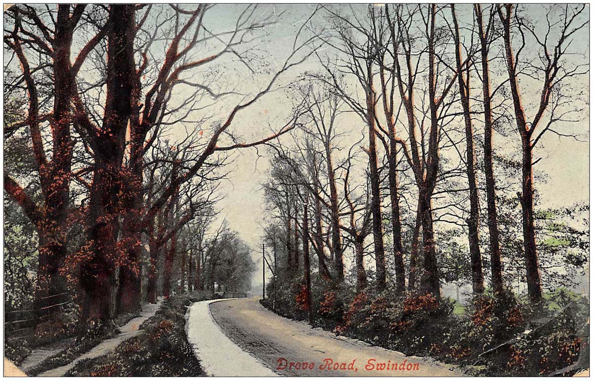 Swindon. Drove Road