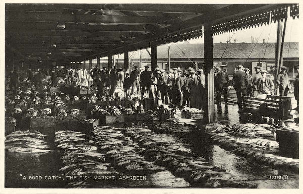 Aberdeen. Fish market, A Good Catch