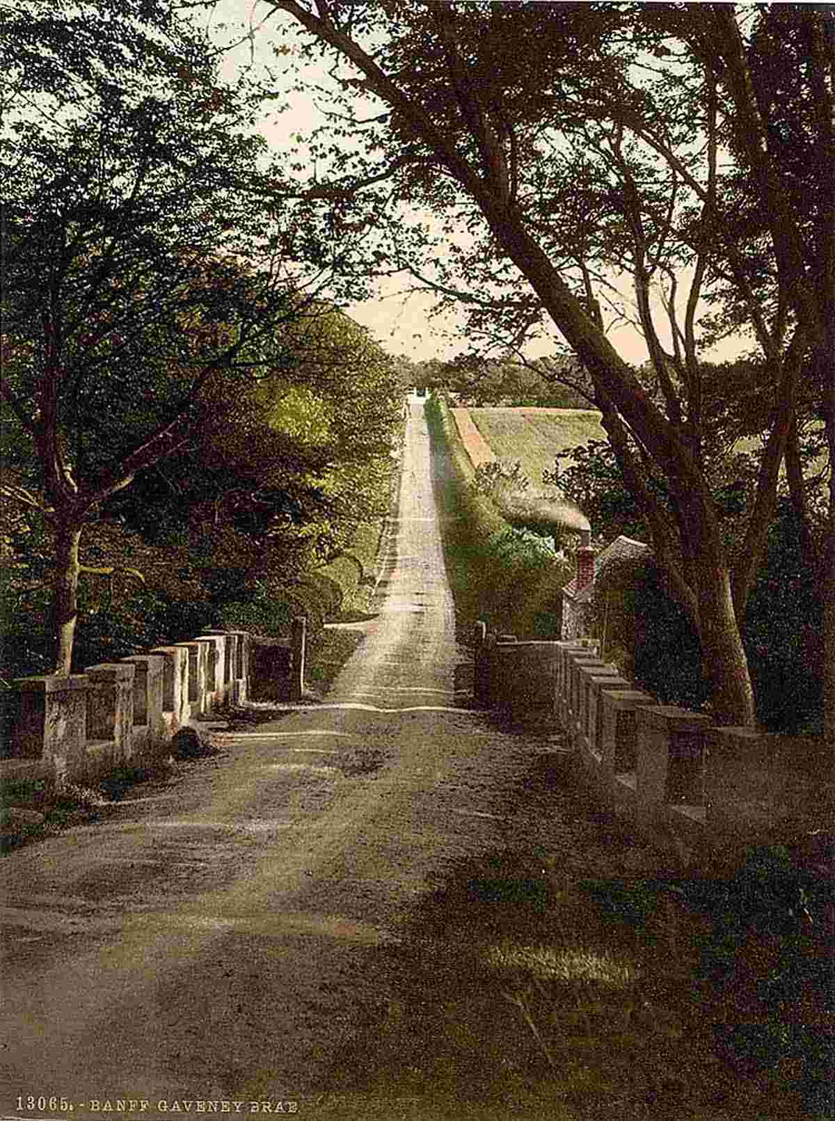 Banff. Caveney Brae, circa 1890