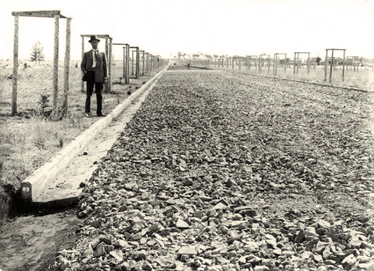 Griffith. Panorama of the future Banna Avenue