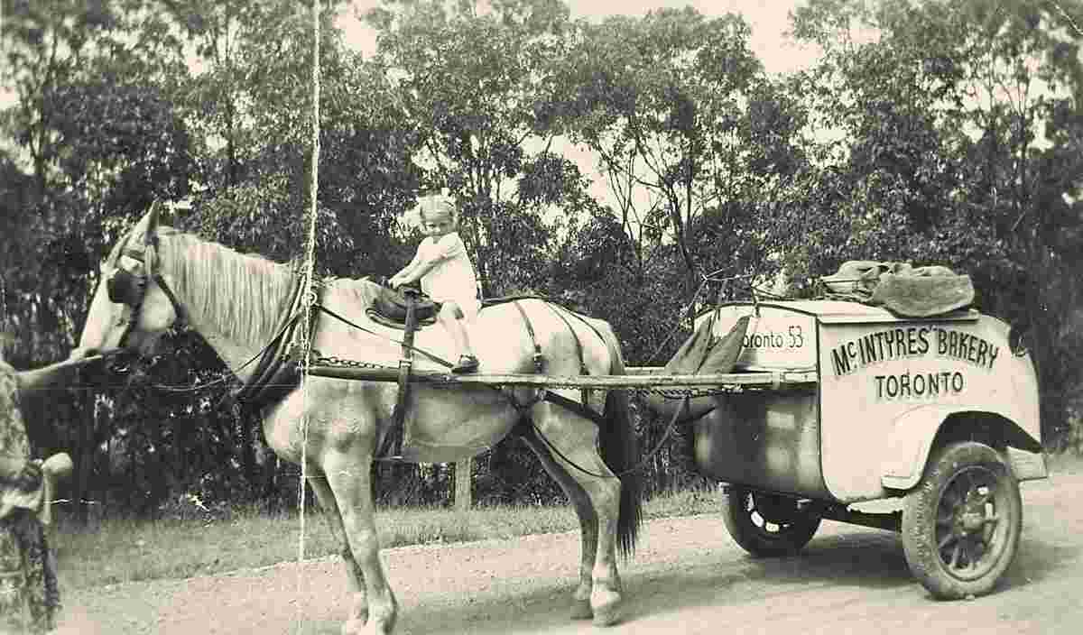 Lake Macquarie. Toronto - McIntyres bakery cart