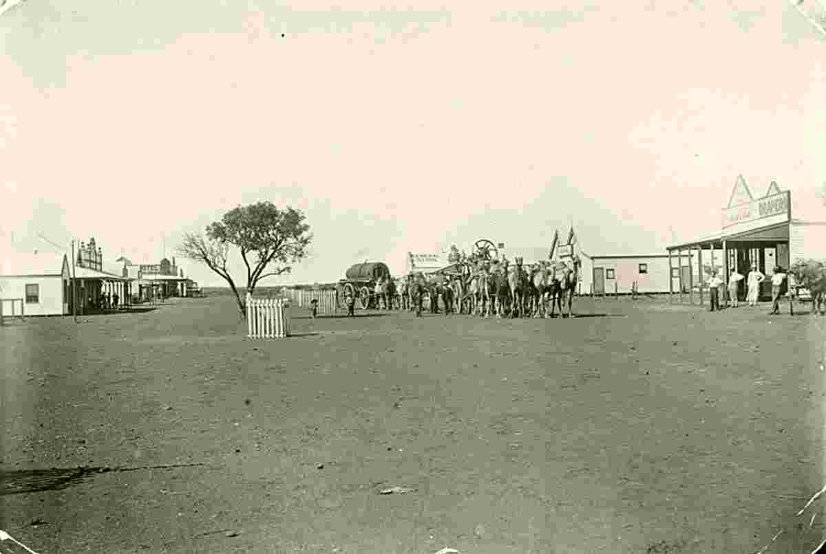 Meekatharra. Camel teams haul mine machinery through Main Street, 1910