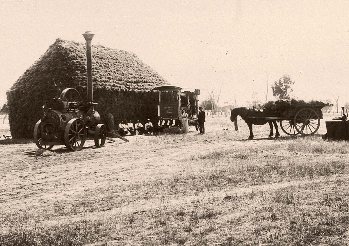Moama. Chaff cutting on 'Pinegrove', 1913