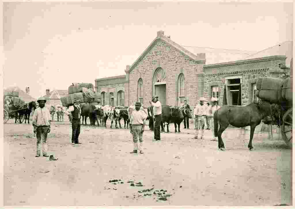 Port Augusta. Three drays loaded with wool bales