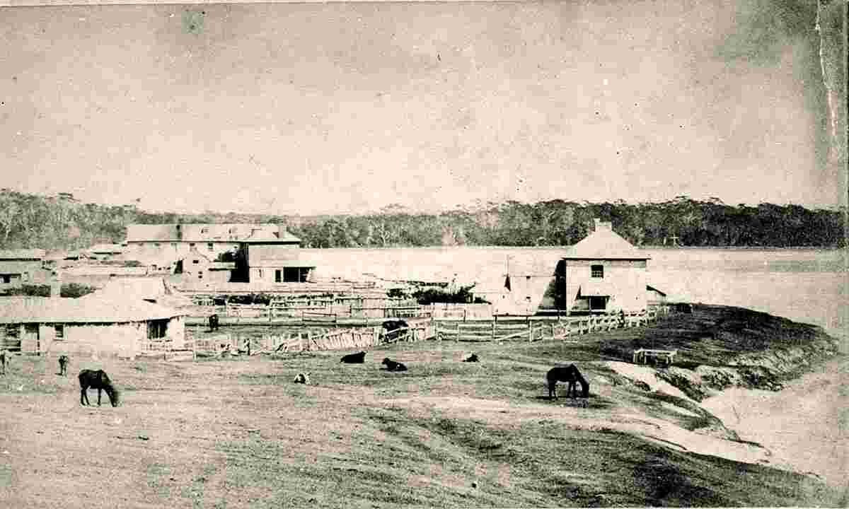 Port Macquarie. View of town showing back of Royal Hotel