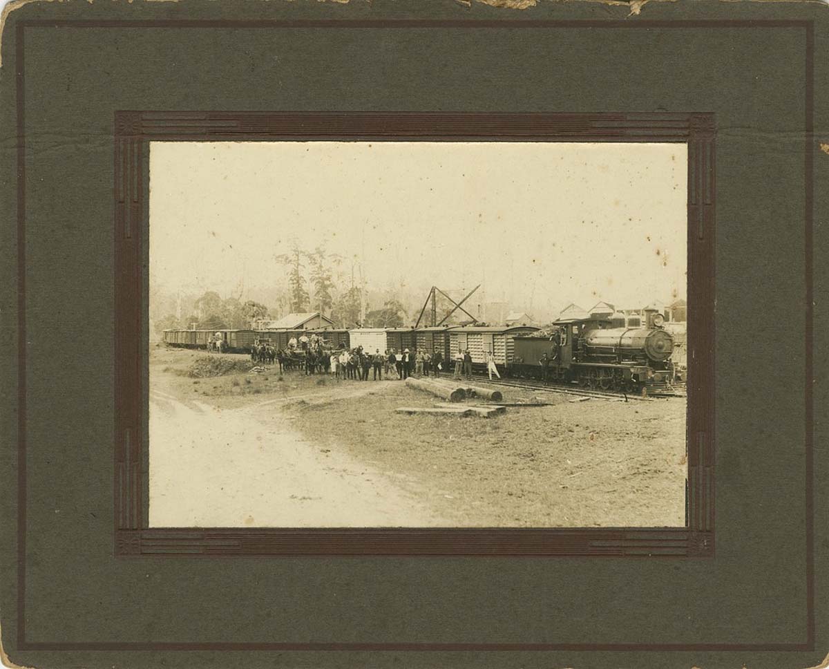 Sunshine Coast. First fruit train