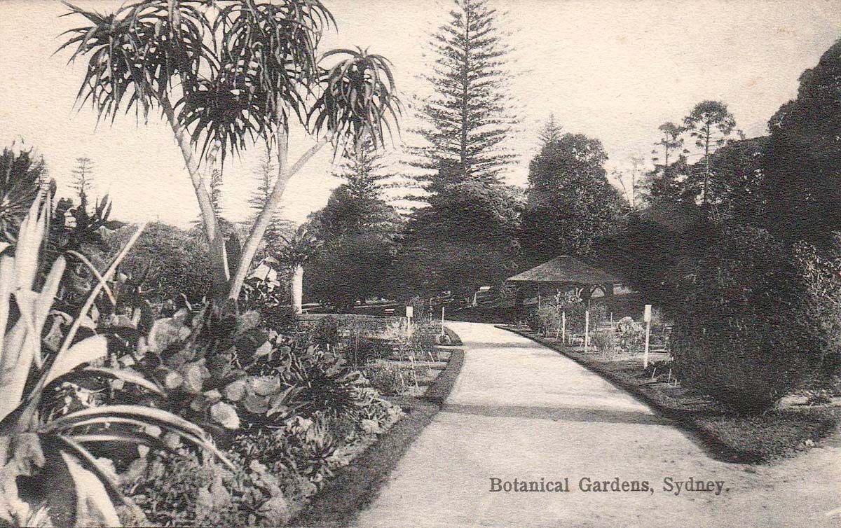 Sydney. Botanical Gardens