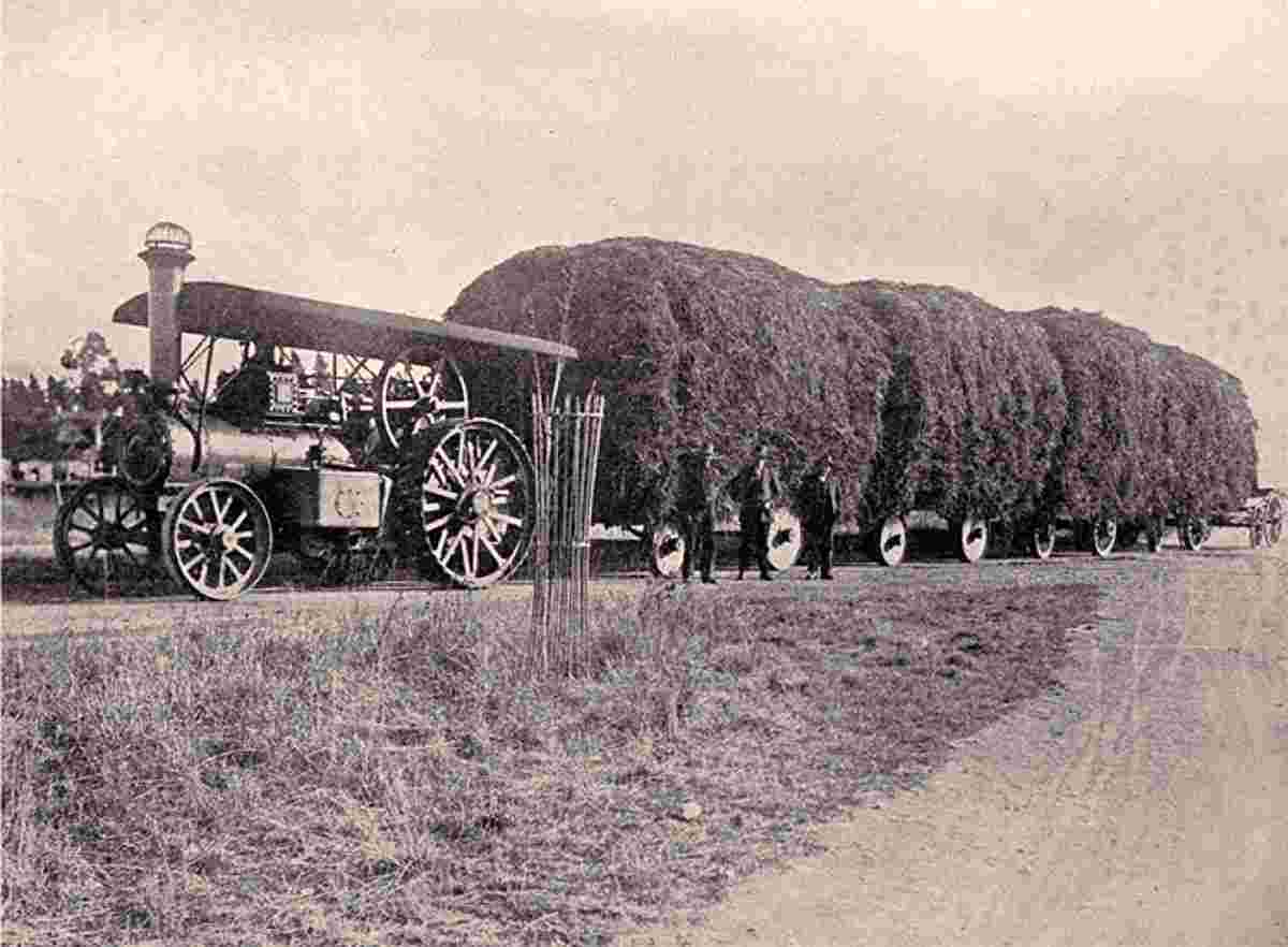 Ashburton. E. G. Church's traction engine