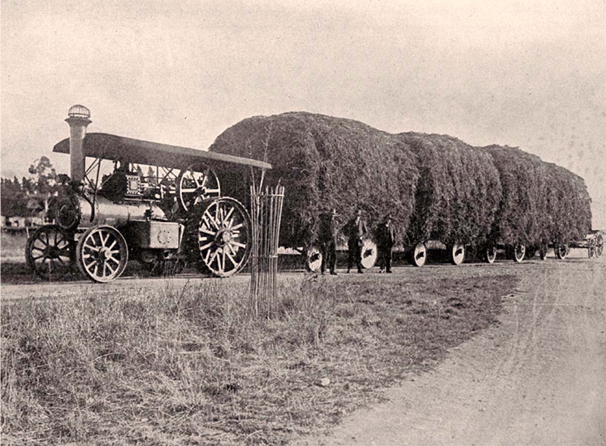 Ashburton. E. G. Church's traction engine