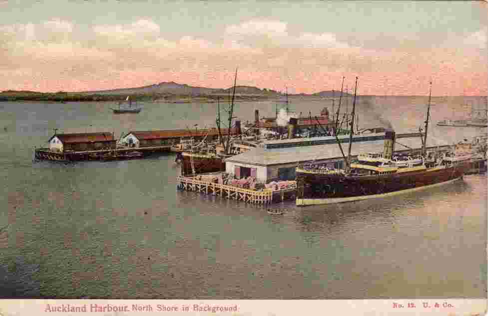 Auckland. Harbour, North Shore in Background