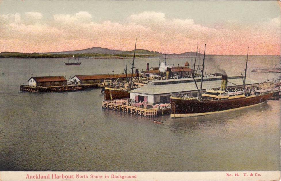 Auckland. Harbour, North Shore in Background