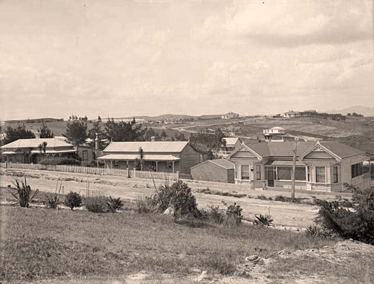 Dargaville. Hokianga Road
