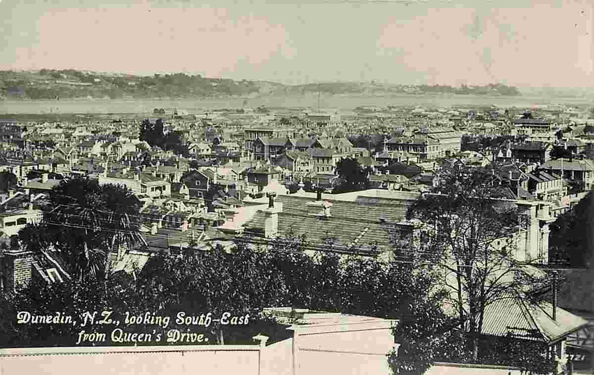 Dunedin. Panorama of the City