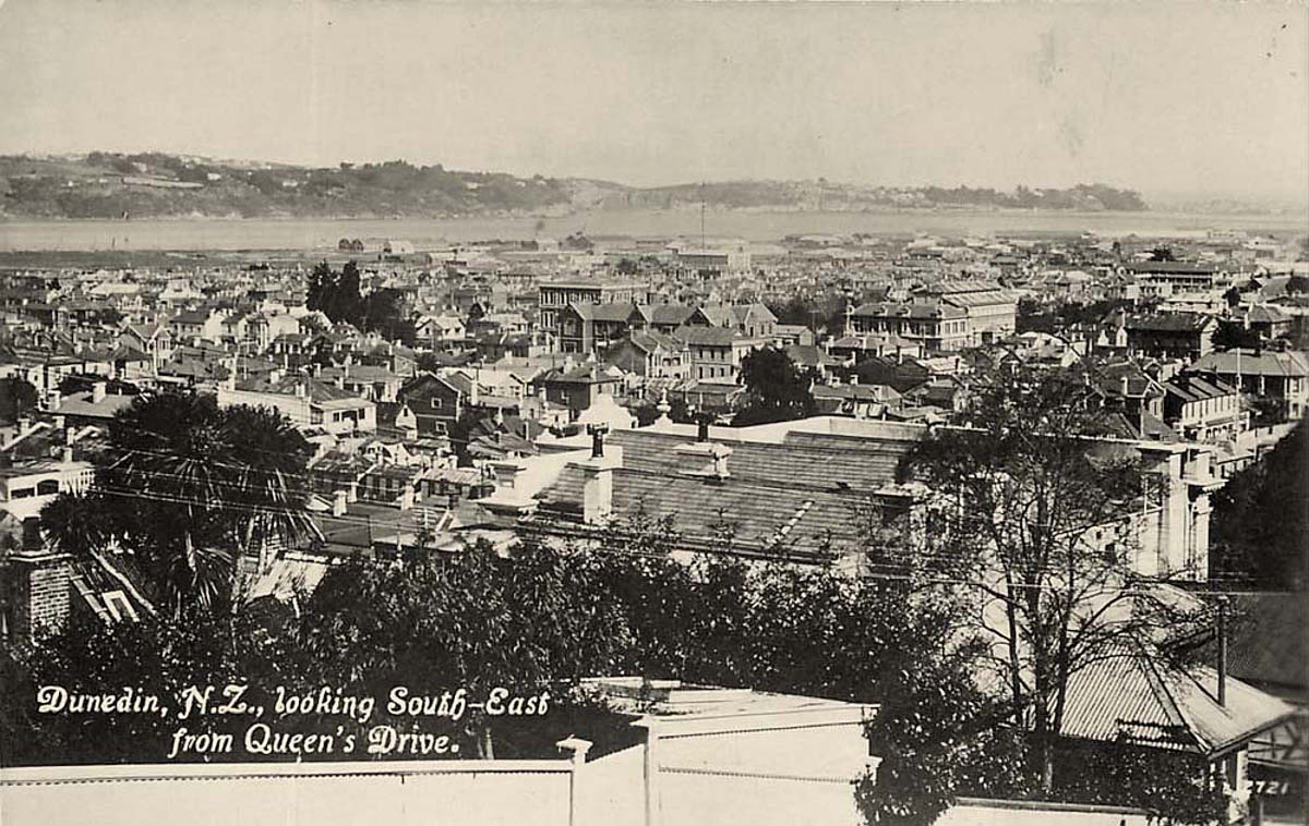 Dunedin. Panorama of the City