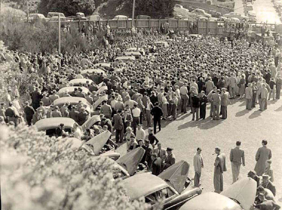 Hororata. Auction sale of cars from Hororata, 1955