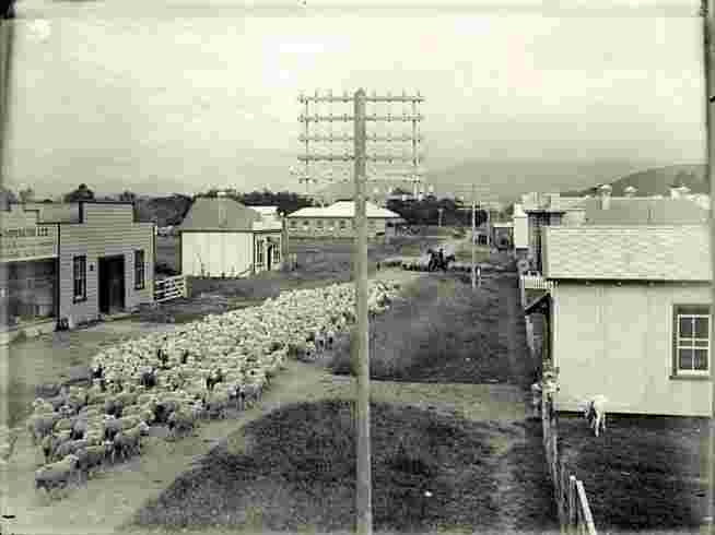 Kaitaia. Commerce Street, circa 1910
