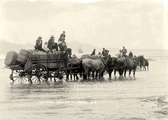 Shipping wool at Te Araroa, East Coast, circa 1920