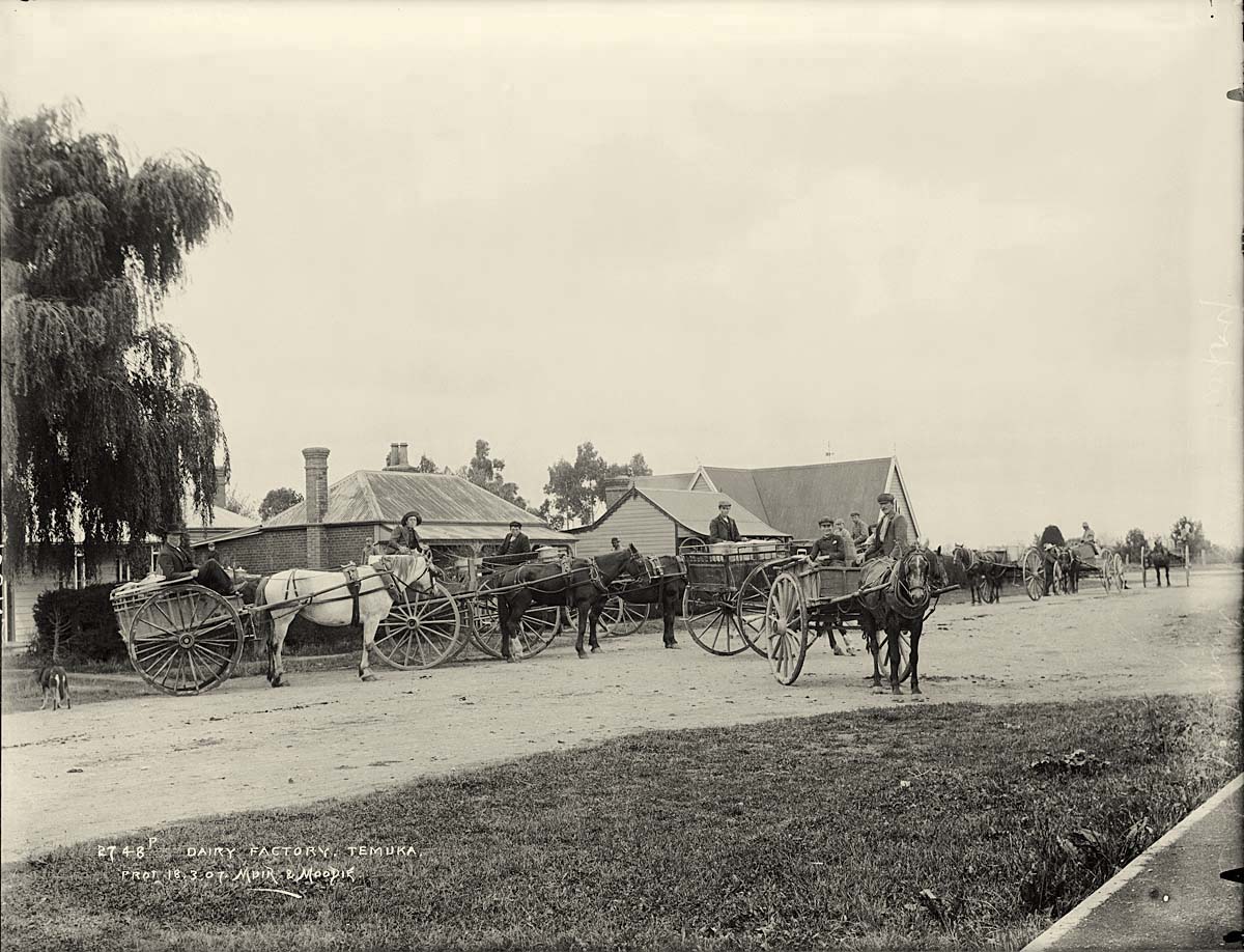 Temuka. Dairy Factory