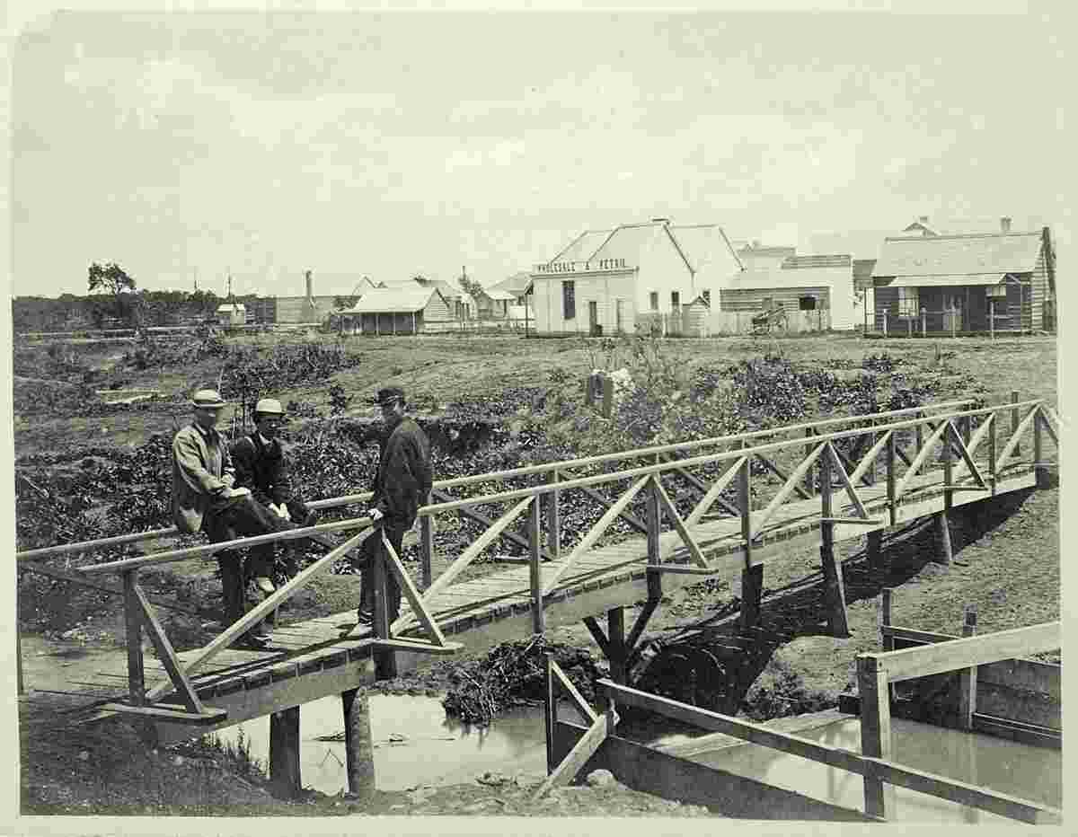 Thames. View of the Hape Creek, circa 1870's